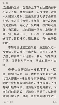 阿斯顿维拉官网